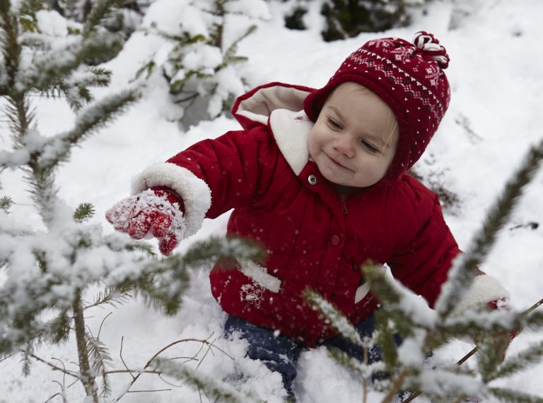 Toddlers Have Knocked Over 10 Million Christmas Trees This Year