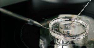 5 things you should know before considering Egg Freezing