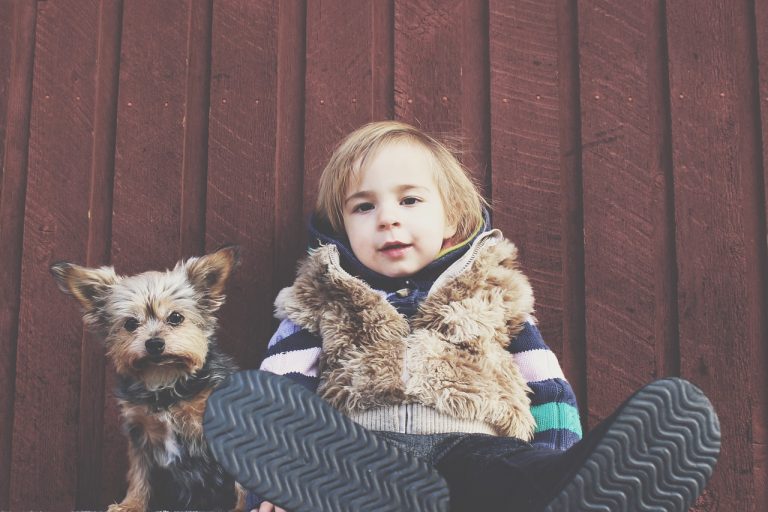 What to do if your child has been bitten by a dog