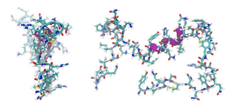 Peptide Therapy: What Are the Benefits?