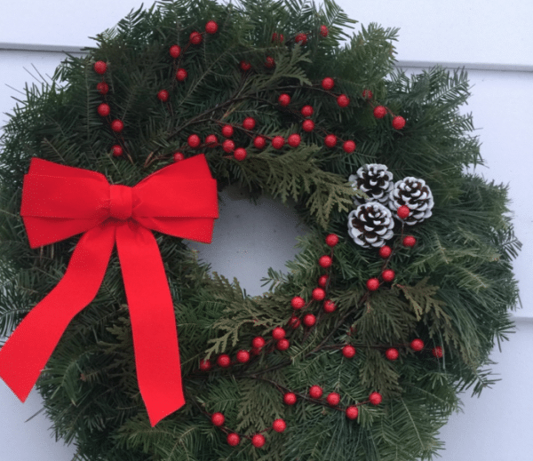 Outdoor Holiday Fun from the McFadden Playbook MOM News Daily