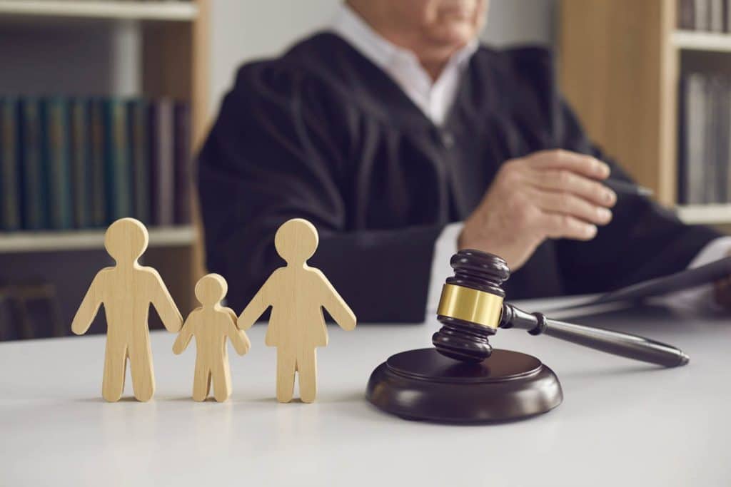 family lawyer 1024x683 - What kind of cases do Family Lawyers Handle