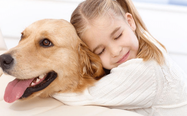 Tips on Finding Best Dog Breeds for Kids