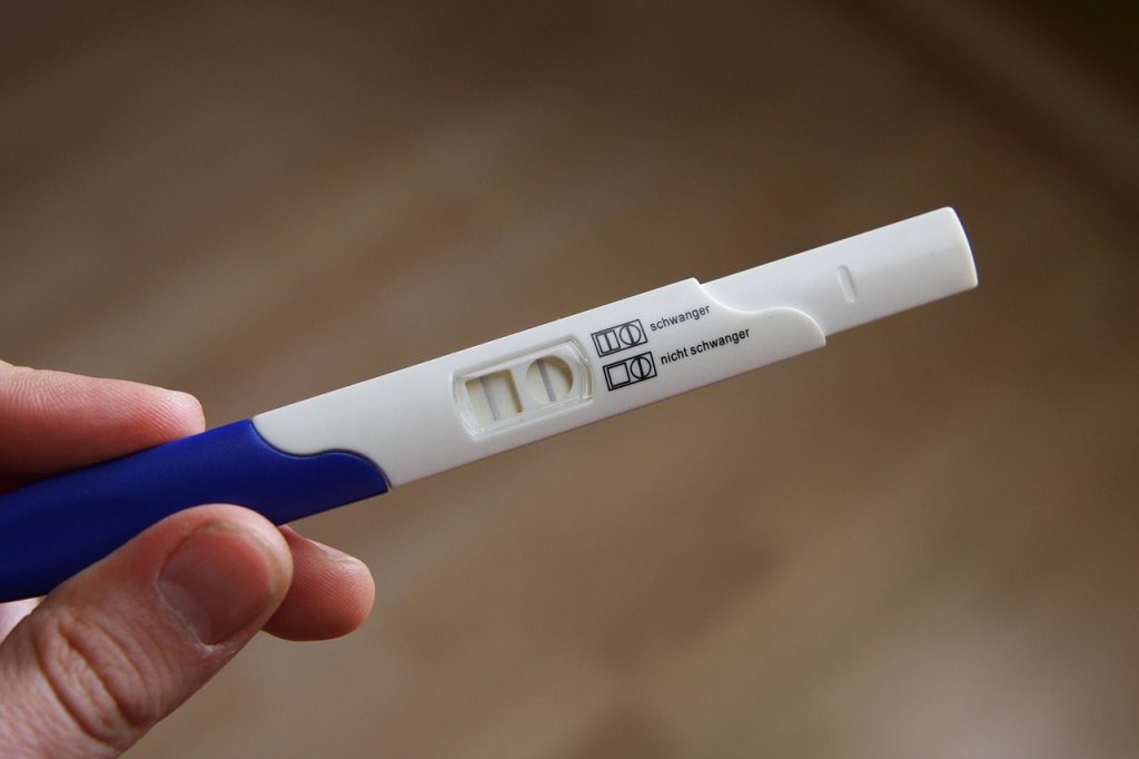 pregnant 2277768 1280 1024x682 - Can an Ovulation Test Be Used as a Pregnancy Test?
