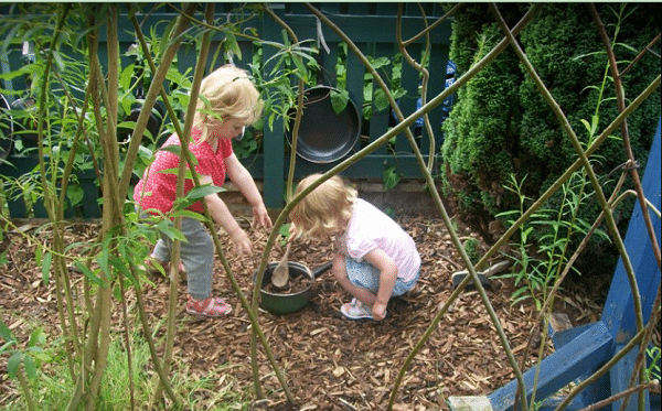 The Wishing Tree Nursery