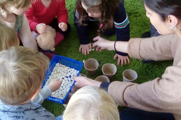 Wise Owls Nursery School