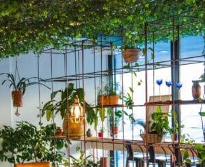 Garden a Makeover