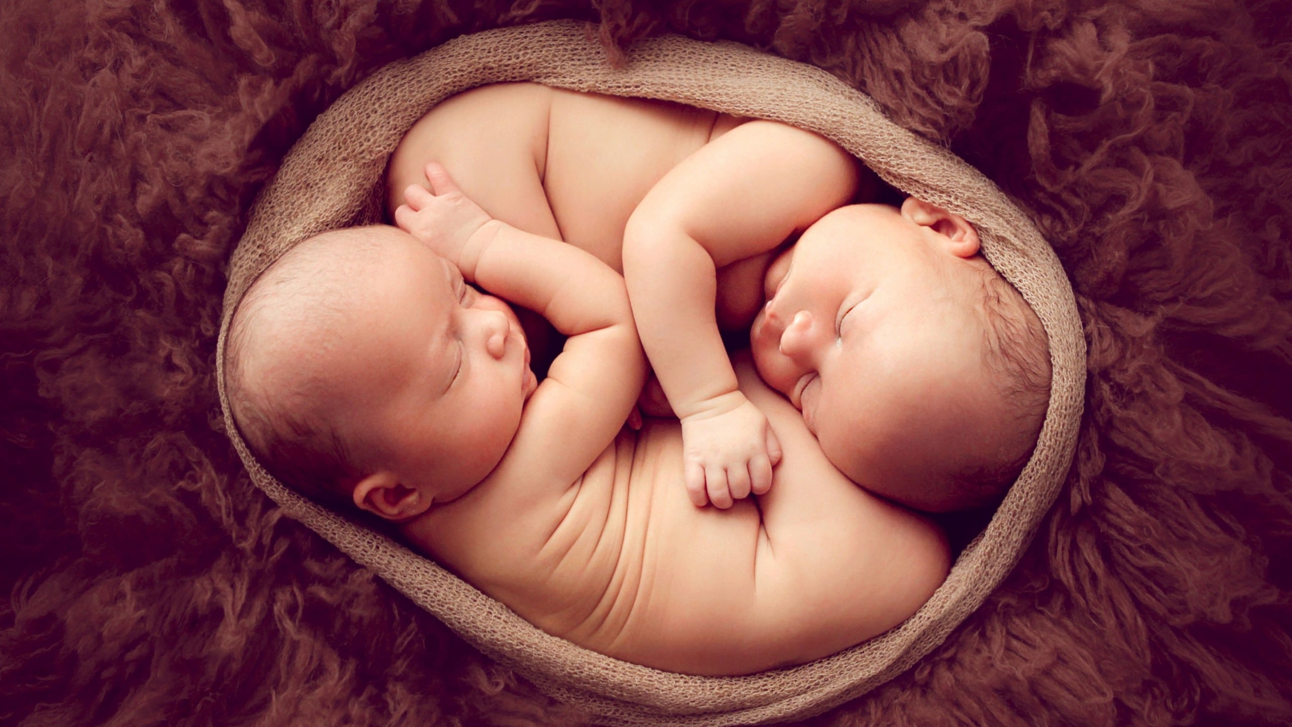 74 749050 cute baby photos twins