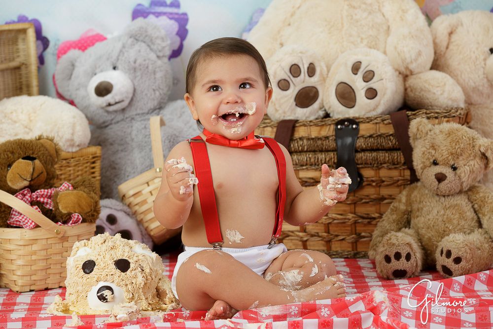 teddy bear picnic cake smash photographer