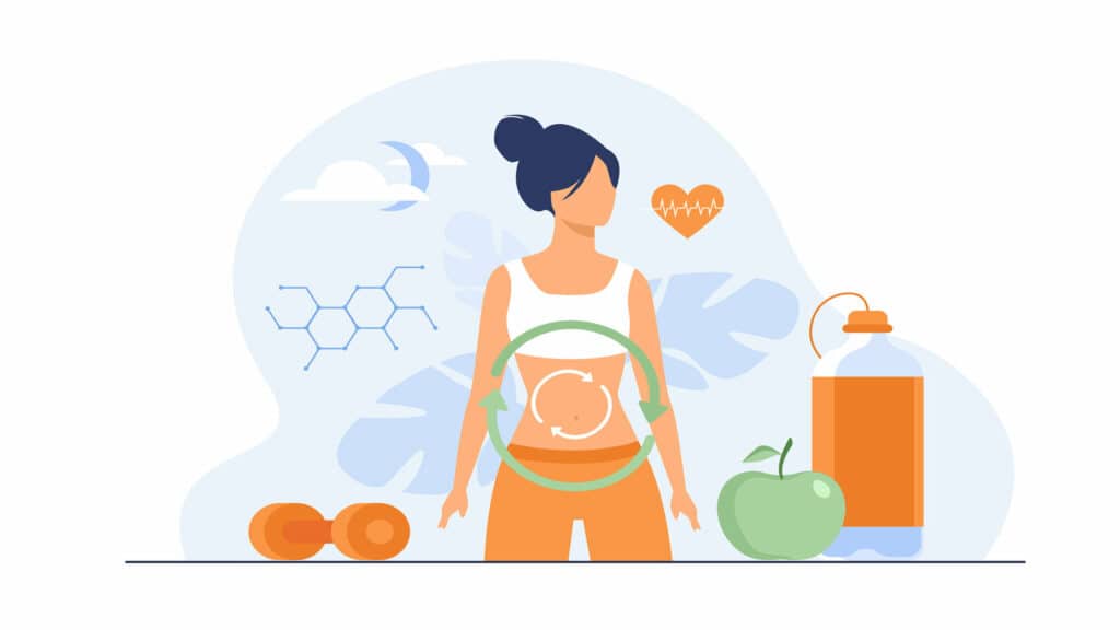 metabolic process of woman on diet. digestion system, food energy, hormone system flat vector illustration. healthy eating concept for banner, website design or landing web page