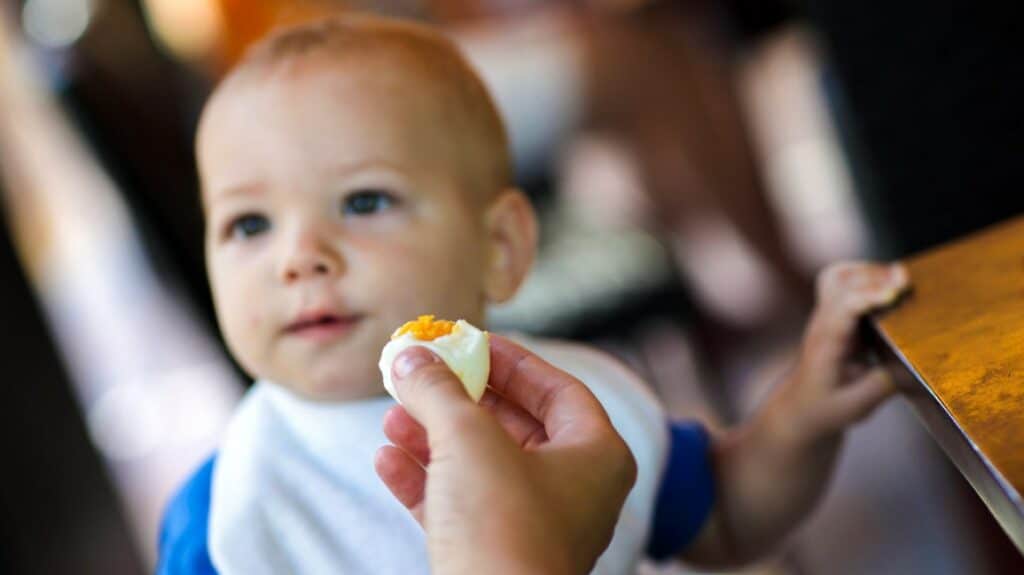 baby eating egg 1296x728 header