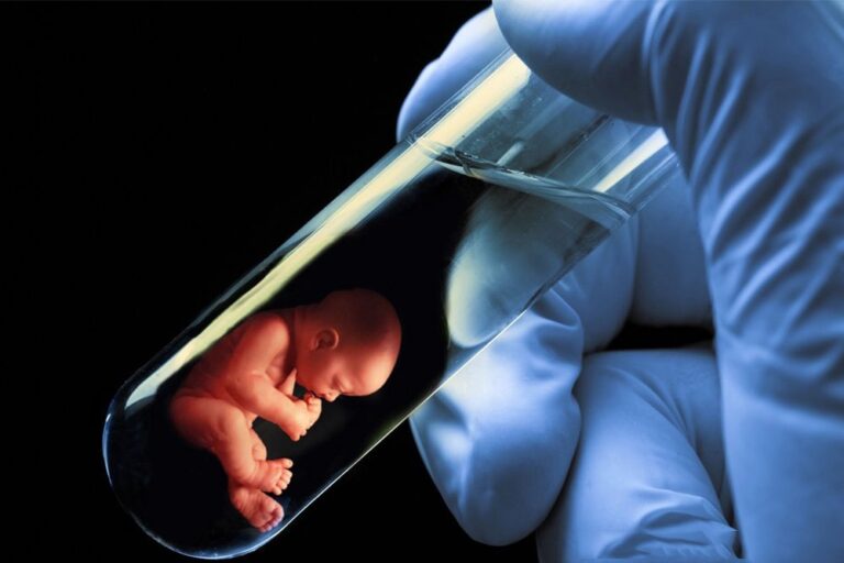 What Is Test Tube Baby?