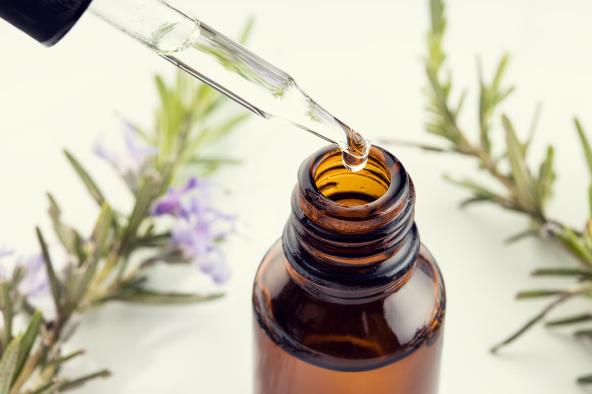 rosemary essential oil. close up of a pipette, amber bottle and rosemary branch at background. herbal remedies