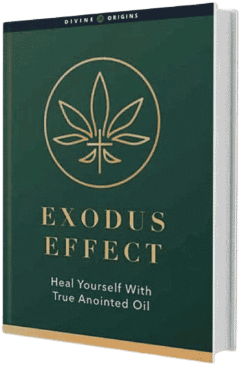 exodus effect reviews