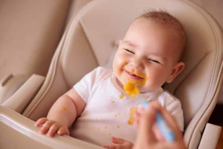 How to Store Baby Food MOM News Daily