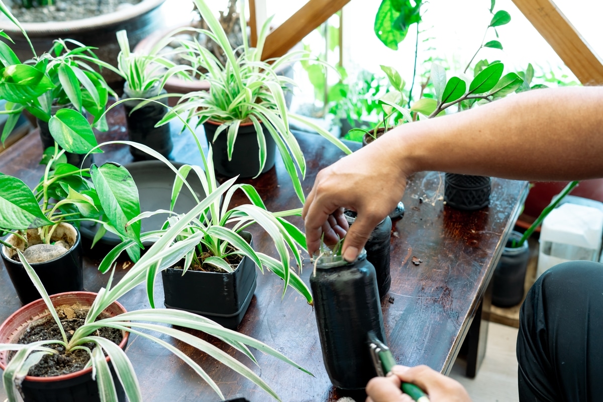 painting a recycled flower pot in black at home. diy makeover in