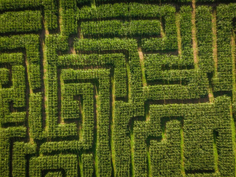Why Corn Mazes Are Fun For Kids And Family