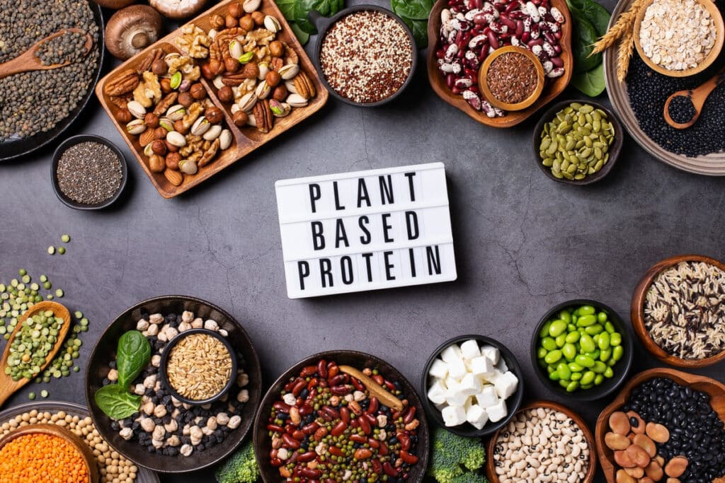 variety of vegan plant based protein food legume 2022 11 11 21 12 16 utc(1)(1)