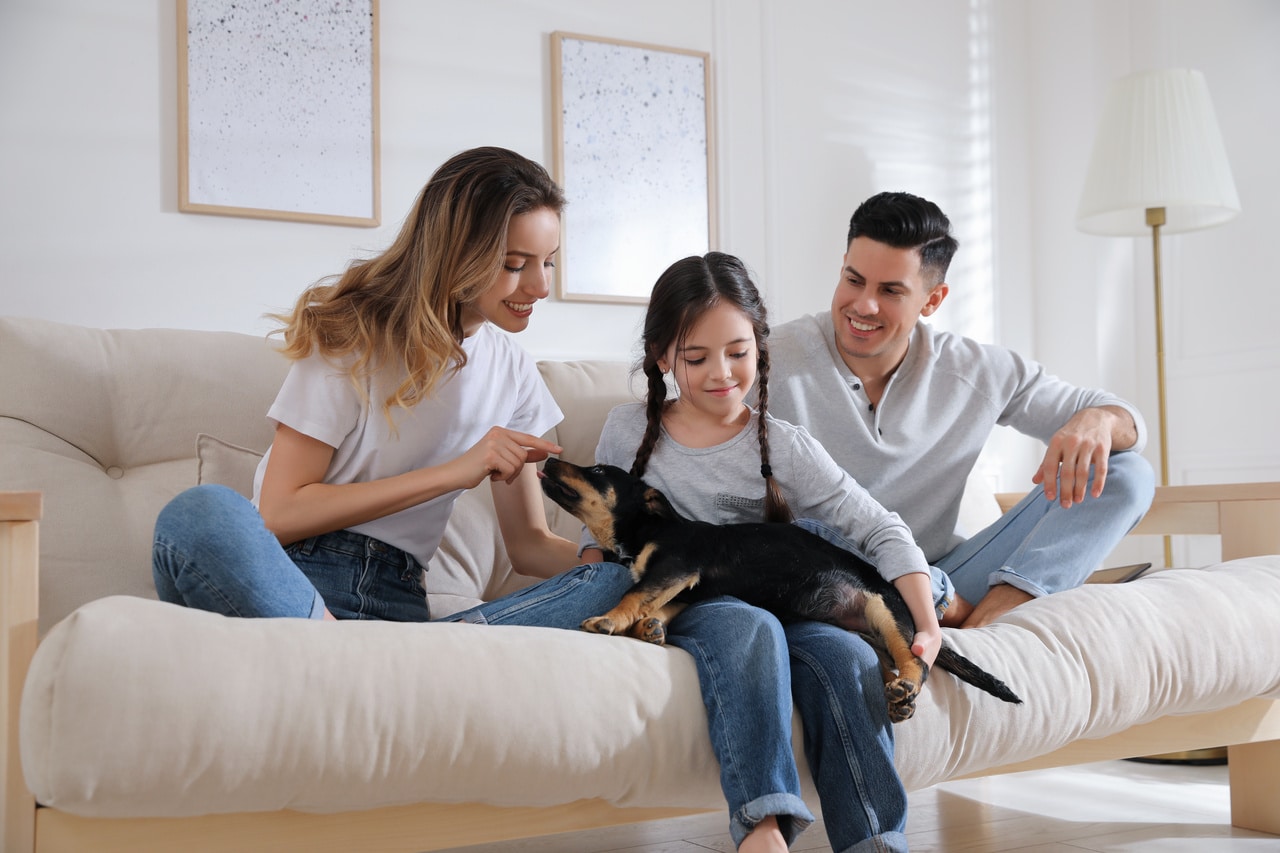 happy family playing with puppy on sofa in living room