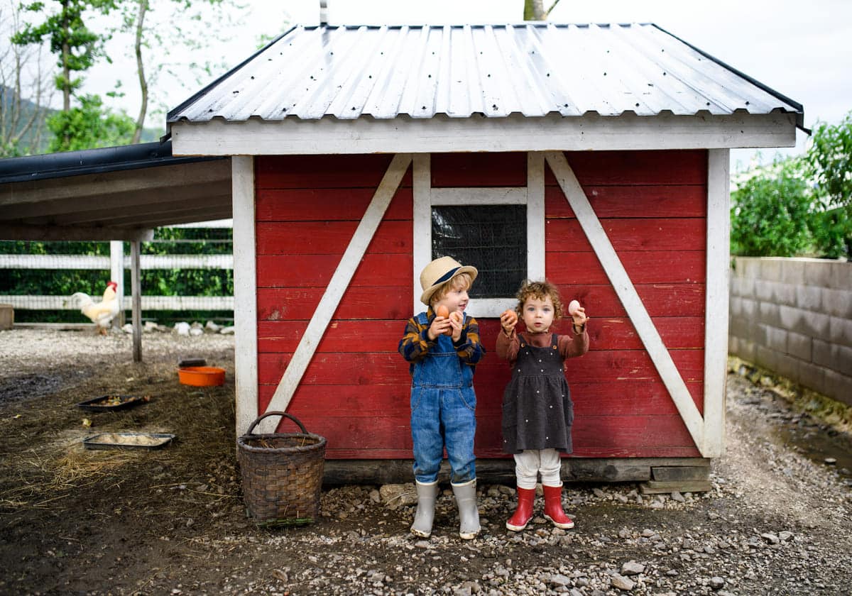 portrait of small children standing on farm holdi 2022 02 02 03 55 54 utc(1)(1)