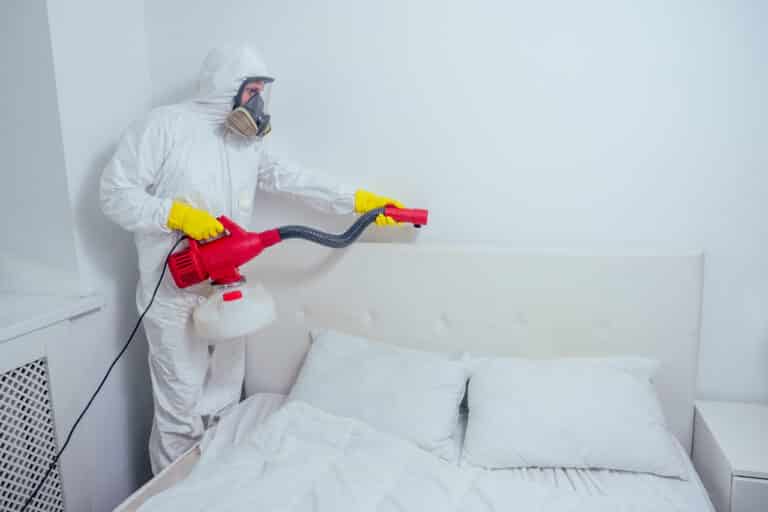 Is Professional Bed Bug Control Worth The Money?