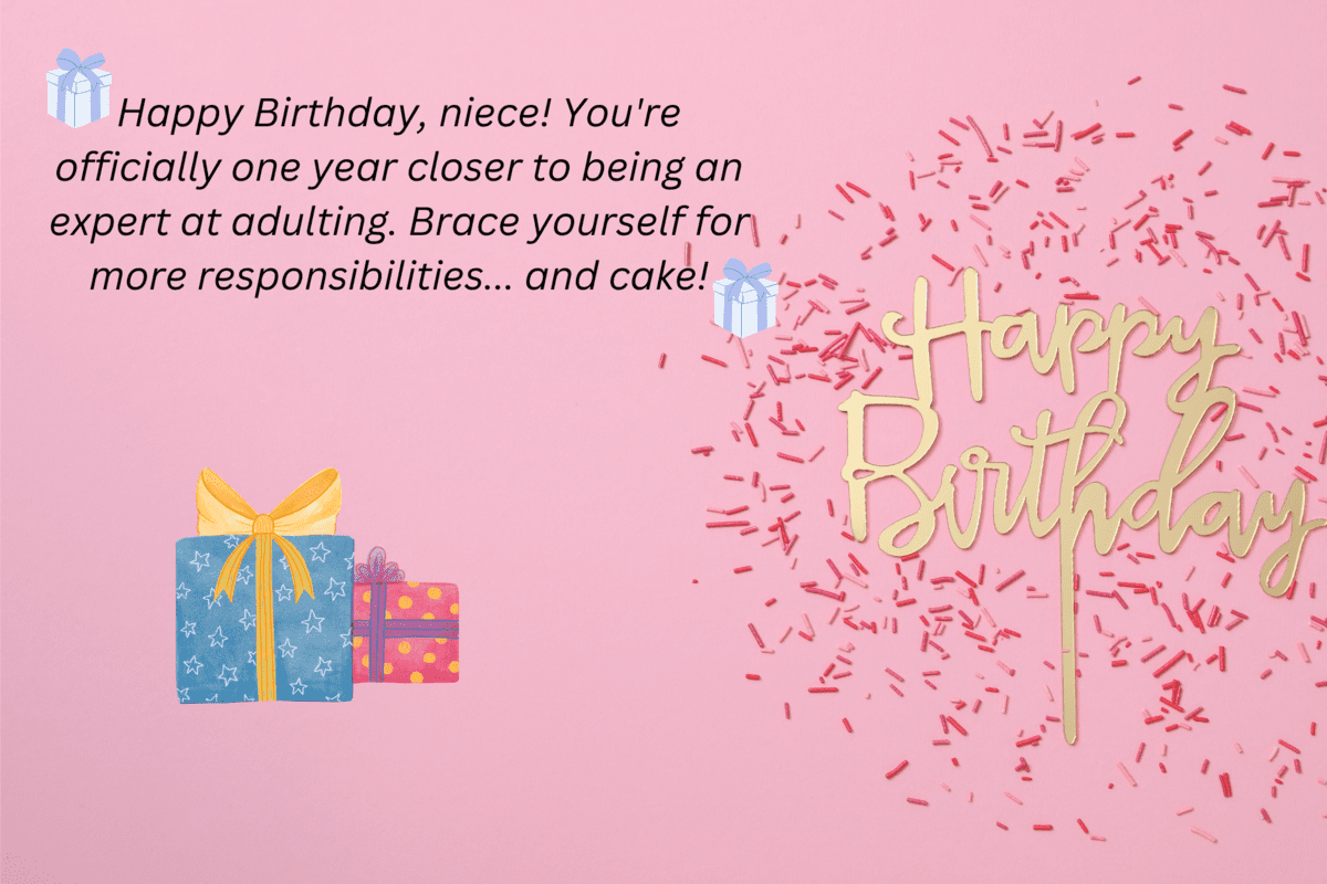 happy birthday, niece! you're officially one year closer to being an expert at adulting. brace yourself for more responsibilities... and cake!