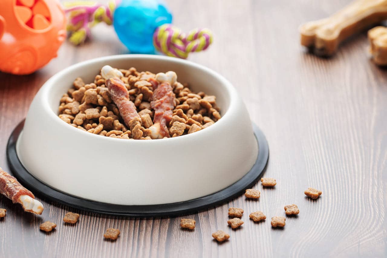 a bowl with dog food dog treats and toys on a woo 2023 01 10 23 29 13 utc