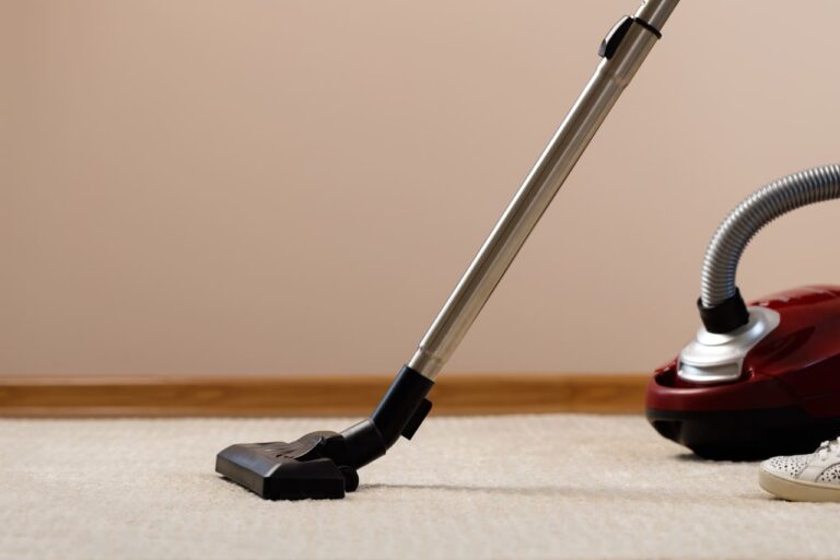 10 Best Vacuum Cleaners For Home in India of 2023 : Buyer’s Guide
