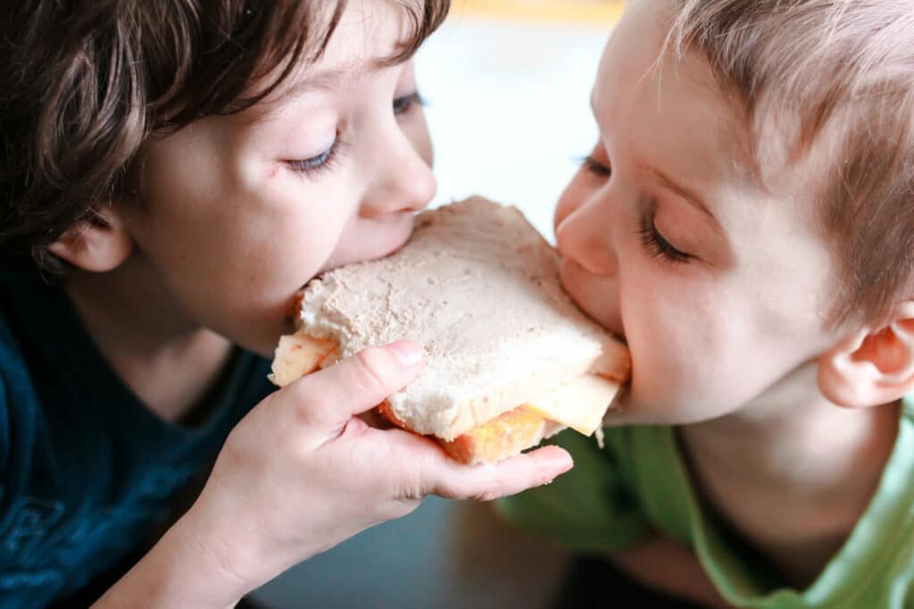 two boys have a snack kids bite a sandwich togeth 2022 11 16 13 30 34 utc(1)(1)