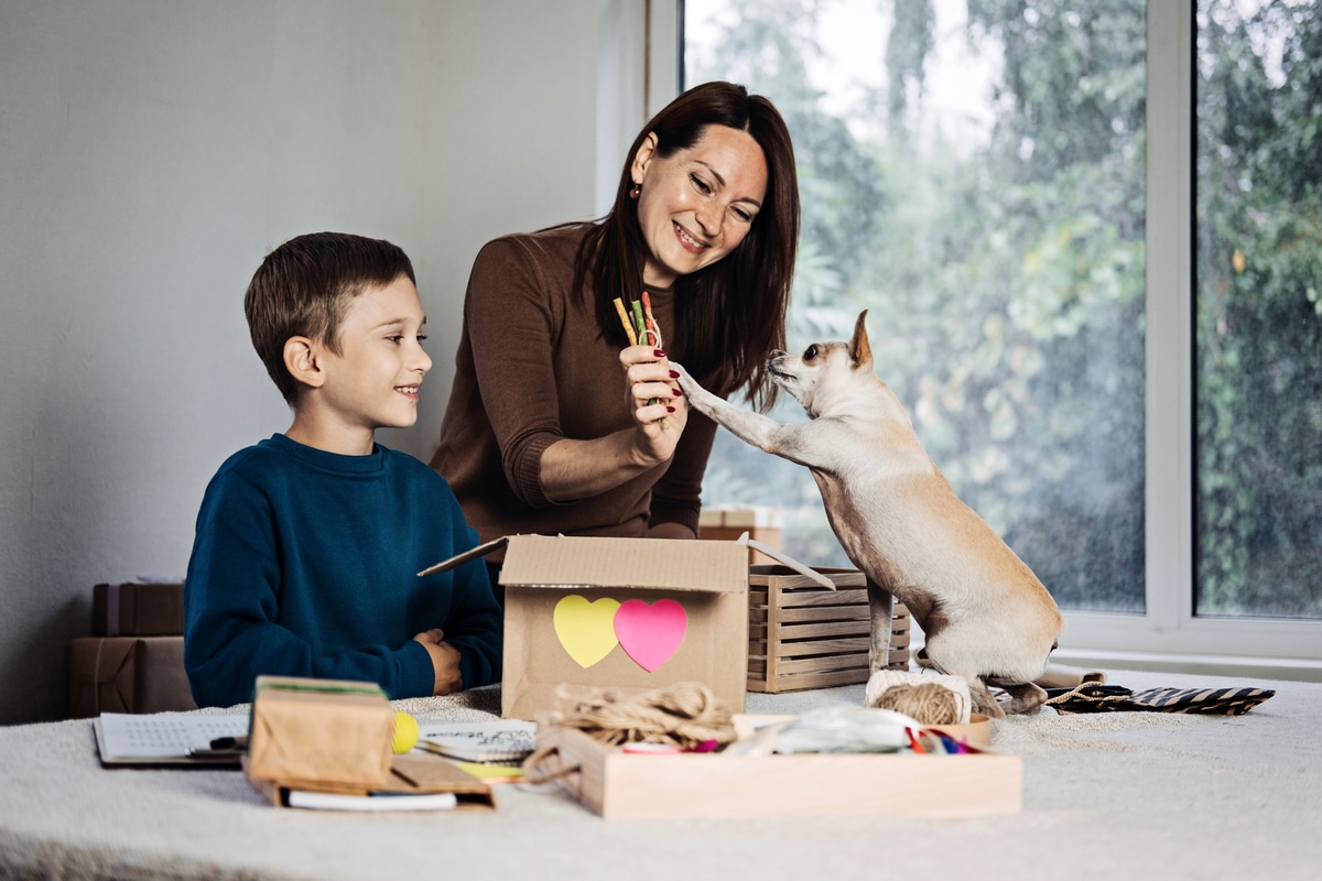 happy family mom and kid putting bone in pet subscription box for dogs. chihuahua dog and subscription pet box with organic treats, fun toy, bully sticks, all natural chews seasonal gear