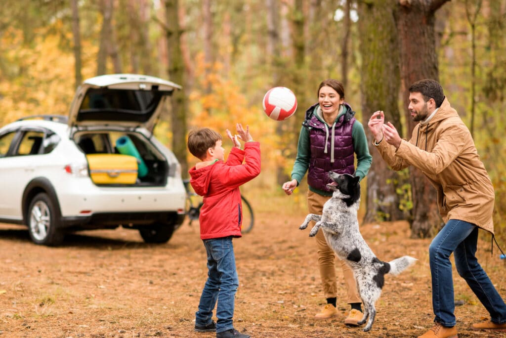 happy family playing with ball and having fun duri 2022 12 16 20 45 38 utc(1)(2)