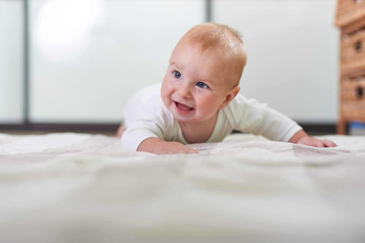 portrait of a cute 6 months baby boy crawling on the floor