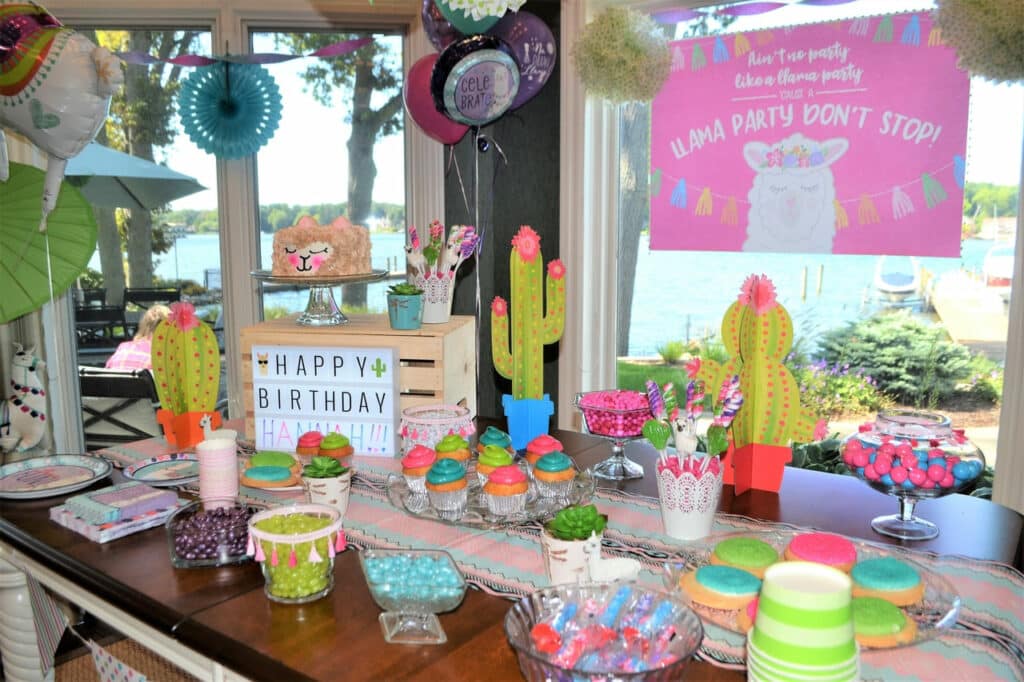 themed birthday party celebration at home 2022 11 16 06 11 53 utc