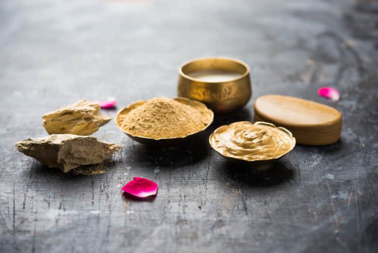 Top 10 Ayurvedic Ashwagandha Powder Brands in India