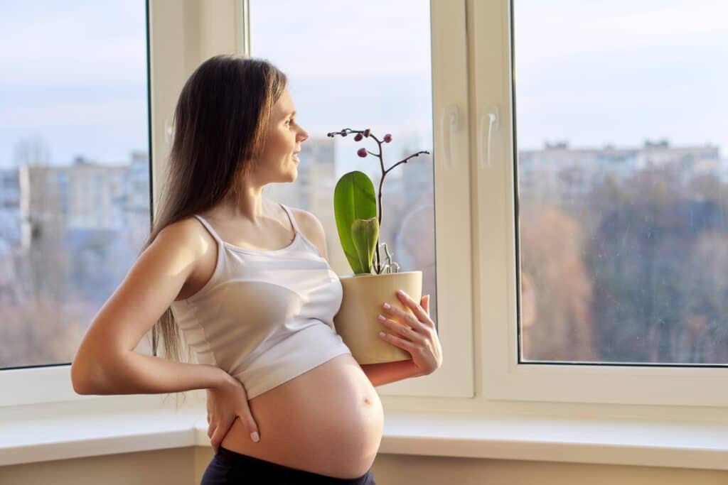 young pregnant woman with orchid flower plant in pot at home near the window